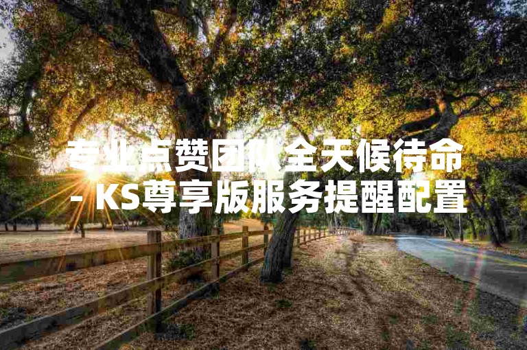 专业点赞团队全天候待命 - KS尊享版服务提醒配置，DY即时自助购单平台。