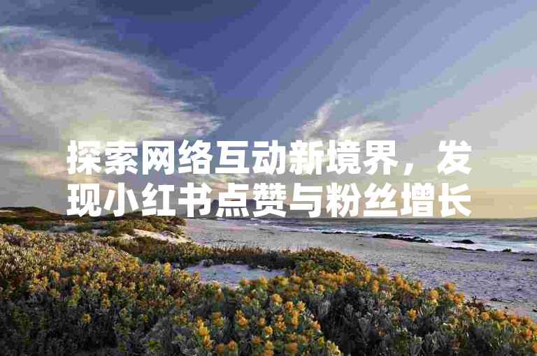 探索网络互动新境界，发现小红书点赞与粉丝增长的秘密通道。