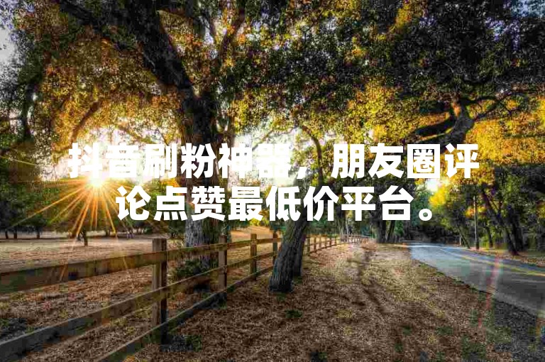 抖音刷粉神器，朋友圈评论点赞最低价平台。