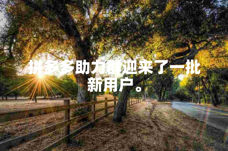 拼多多助力群迎来了一批新用户。