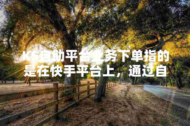 KS自助平台业务下单指的是在快手平台上，通过自助服务系统进行的各种操作或交易的下单过程。