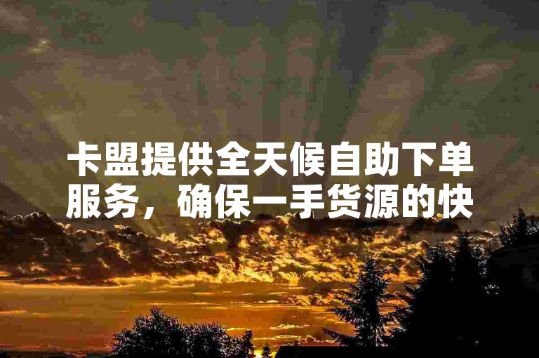 卡盟提供全天候自助下单服务，确保一手货源的快速获取。
