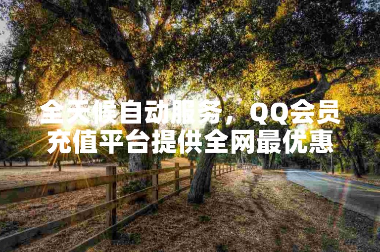 全天候自动服务，QQ会员充值平台提供全网最优惠价格 - QQ业务网24小时自助下单免费 - QQ24小时业务自动下单平台。