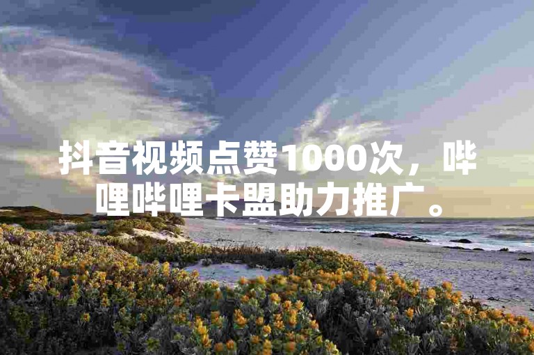 抖音视频点赞1000次，哔哩哔哩卡盟助力推广。