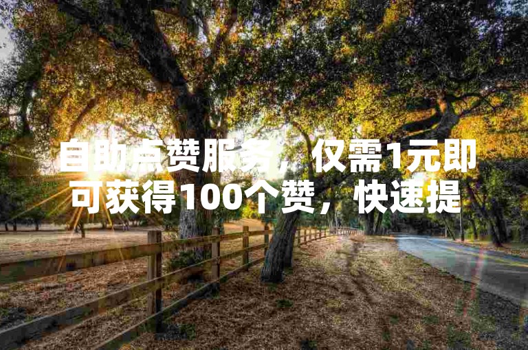 自助点赞服务，仅需1元即可获得100个赞，快速提升你的社交媒体影响力。