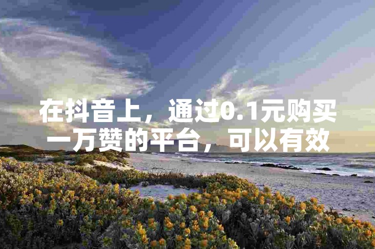 在抖音上，通过0.1元购买一万赞的平台，可以有效避免粉丝流失。