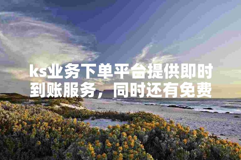 ks业务下单平台提供即时到账服务，同时还有免费自助下单的便捷网站。