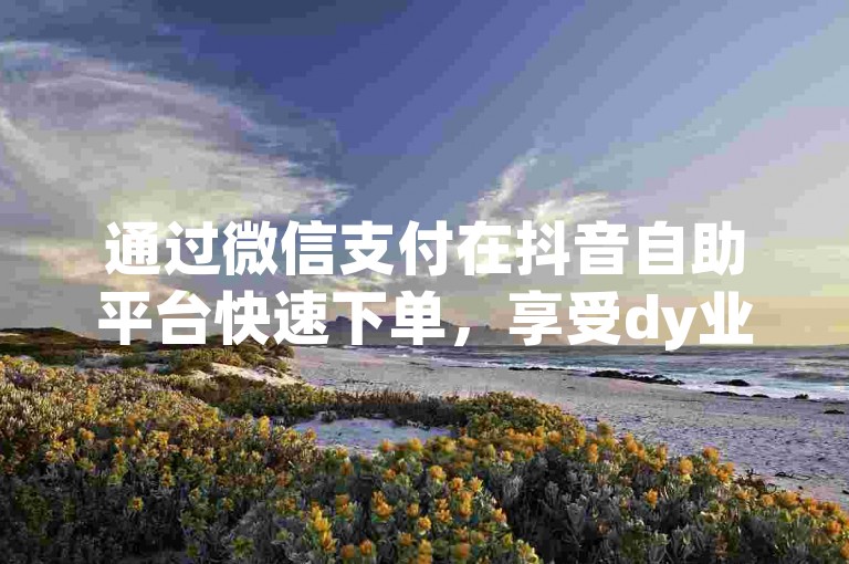 通过微信支付在抖音自助平台快速下单，享受dy业务的便捷在线服务。