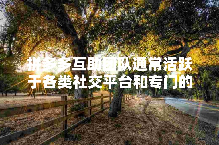 拼多多互助团队通常活跃于各类社交平台和专门的{pdd砍价网站}，为需要助力的用户提供服务。