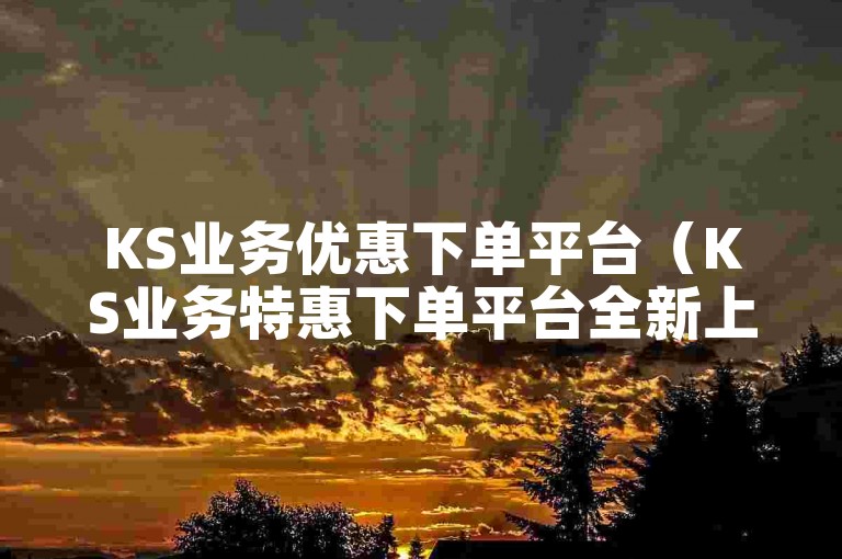 KS业务优惠下单平台（KS业务特惠下单平台全新上线）