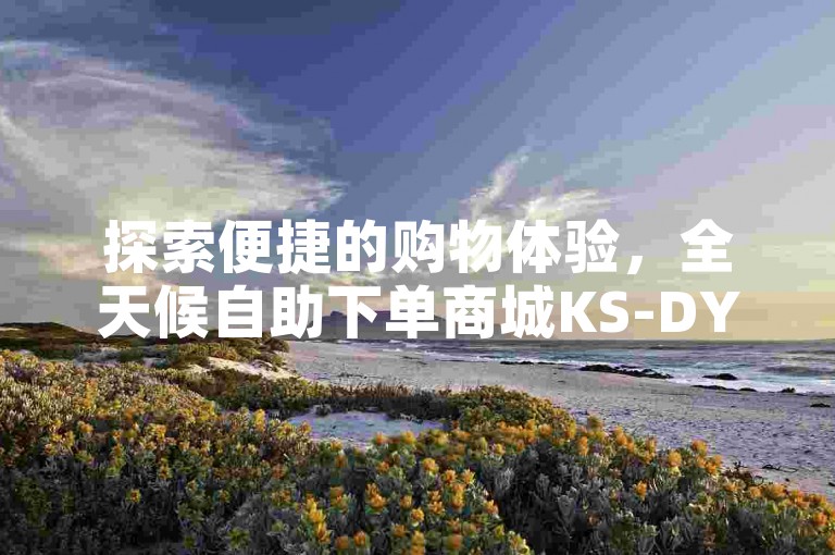 探索便捷的购物体验，全天候自助下单商城KS-DY提供超值优惠，B站用户专属的24小时在线订购网站现已开放。