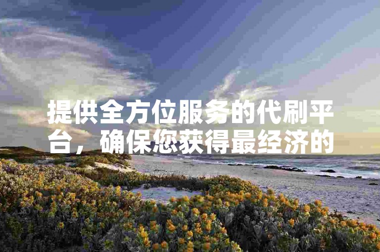 提供全方位服务的代刷平台，确保您获得最经济的在线推广解决方案。