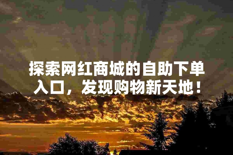 探索网红商城的自助下单入口，发现购物新天地！