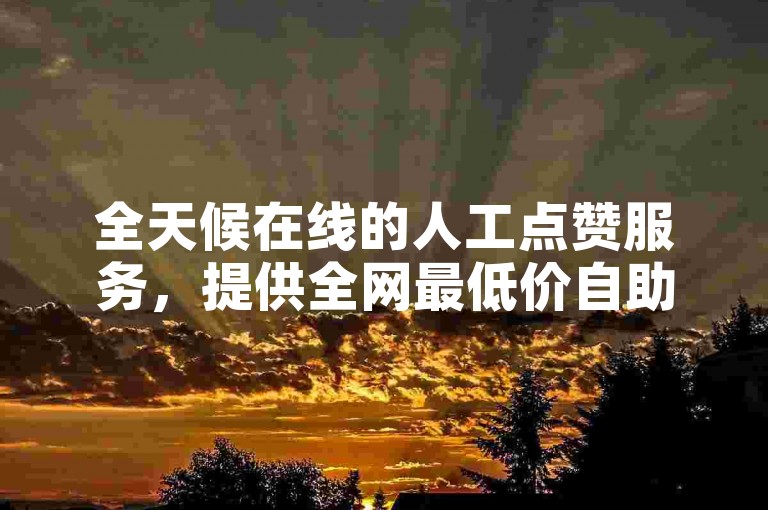 全天候在线的人工点赞服务，提供全网最低价自助下单体验。