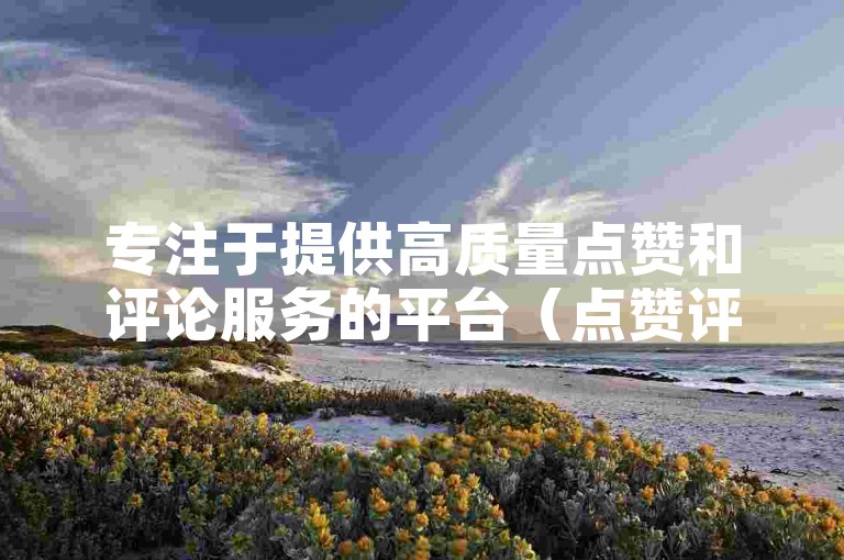 专注于提供高质量点赞和评论服务的平台（点赞评论平台，专业优质内容赞不停）