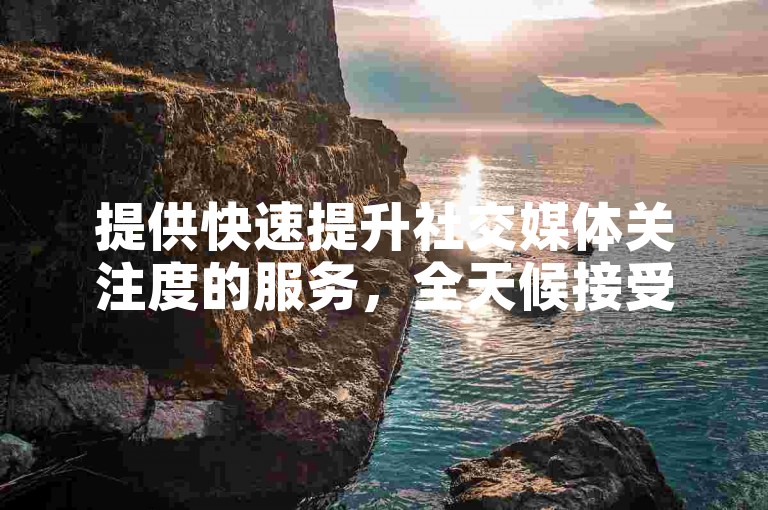 提供快速提升社交媒体关注度的服务，全天候接受订单的平台。