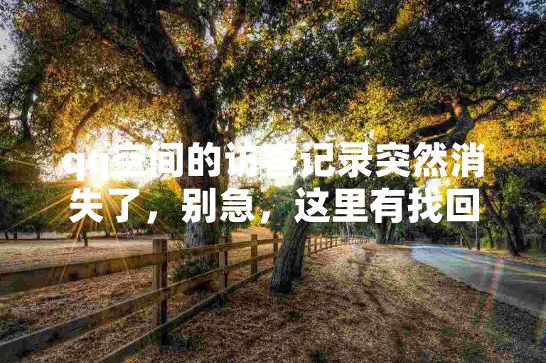 qq空间的访客记录突然消失了，别急，这里有找回它们的详细步骤。