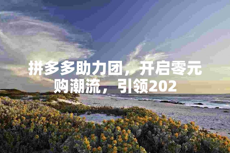 拼多多助力团，开启零元购潮流，引领2025年免费风尚新纪元。
