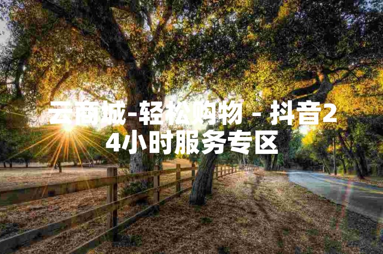 云商城-轻松购物 - 抖音24小时服务专区