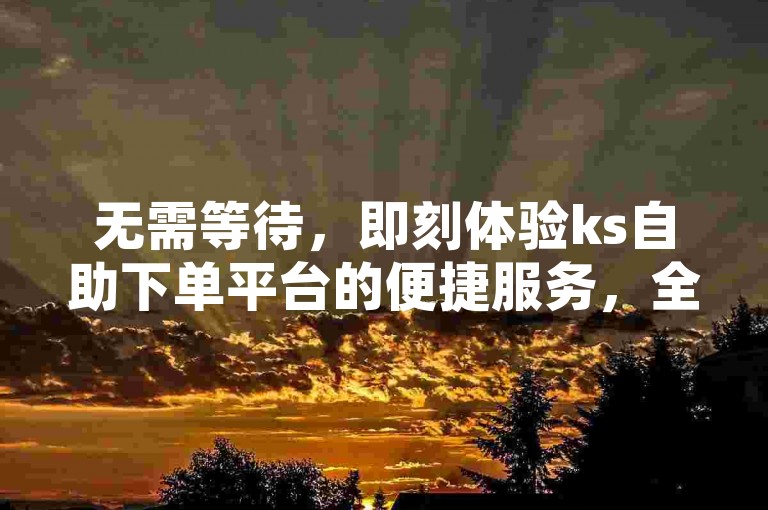 无需等待，即刻体验ks自助下单平台的便捷服务，全天候24小时快速响应，确保您的订单秒速处理，0元起轻松涨粉，让您的人气瞬间飙升！