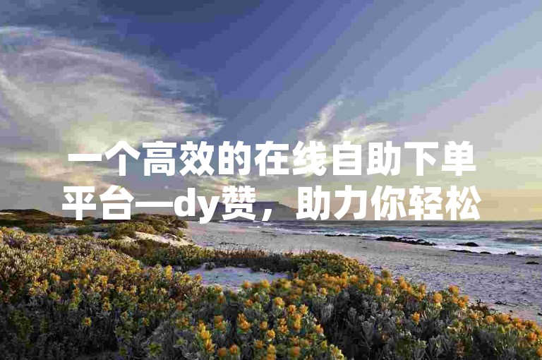 一个高效的在线自助下单平台—dy赞，助力你轻松提升网站流量的SEO优化工具。