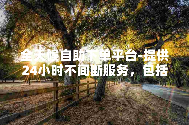 全天候自助下单平台-提供24小时不间断服务，包括头条业务和B站业务的快速下单。