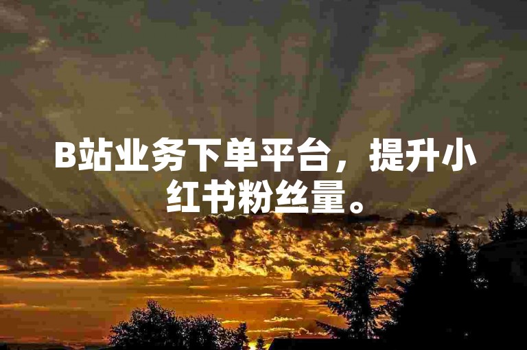 B站业务下单平台，提升小红书粉丝量。