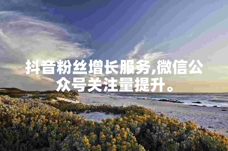 抖音粉丝增长服务,微信公众号关注量提升。