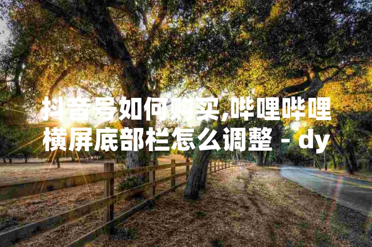 抖音号如何购买,哔哩哔哩横屏底部栏怎么调整 - dy业务下单全天候最优惠 - 抖音在线自助业务平台