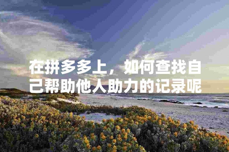 在拼多多上，如何查找自己帮助他人助力的记录呢？请访问pdd砍价网站获取更多信息。