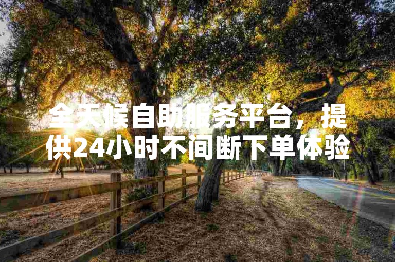 全天候自助服务平台，提供24小时不间断下单体验（专业自助商城  一站式解决方案）。