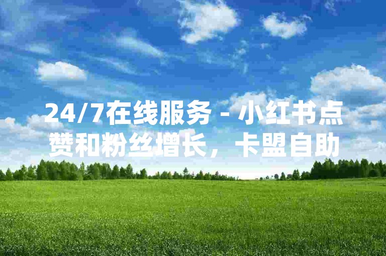 24/7在线服务 - 小红书点赞和粉丝增长，卡盟自助下单平台网站dy。