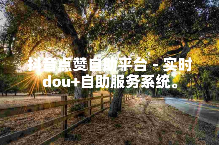 抖音点赞自助平台 - 实时dou+自助服务系统。