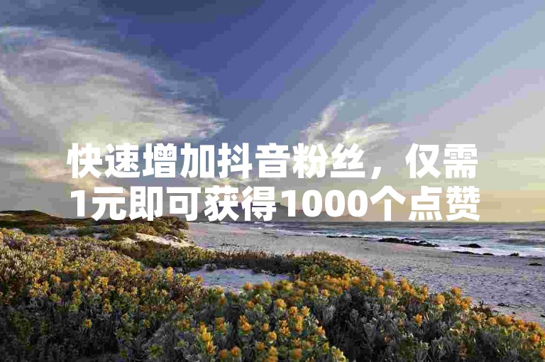 快速增加抖音粉丝，仅需1元即可获得1000个点赞，特惠平台等你来体验。