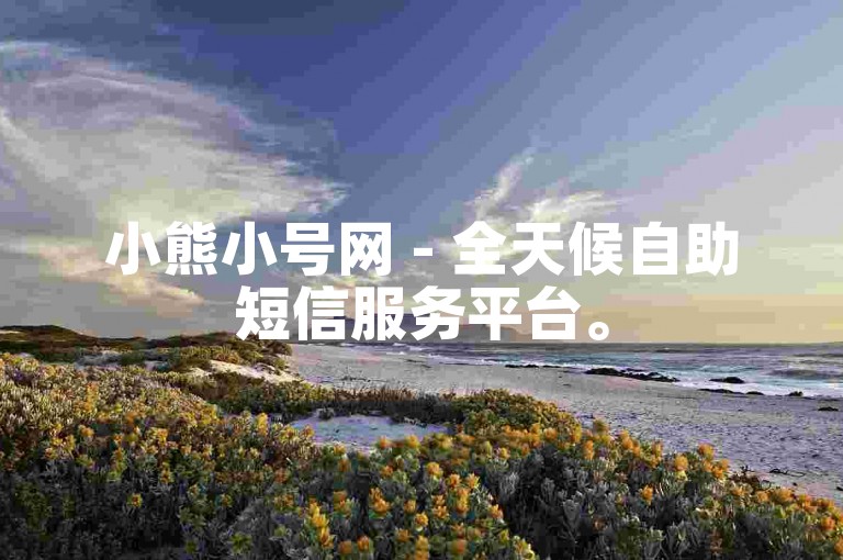 小熊小号网 - 全天候自助短信服务平台。
