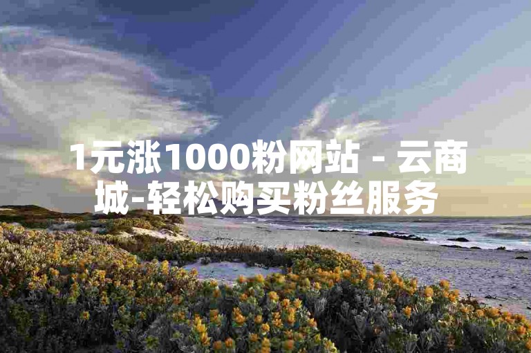 1元涨1000粉网站 - 云商城-轻松购买粉丝服务