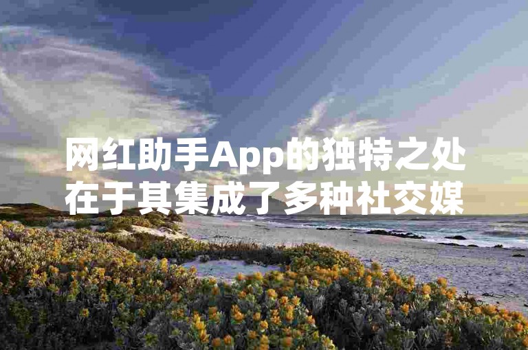 网红助手App的独特之处在于其集成了多种社交媒体管理工具，旨在帮助内容创作者更高效地提升在线影响力。