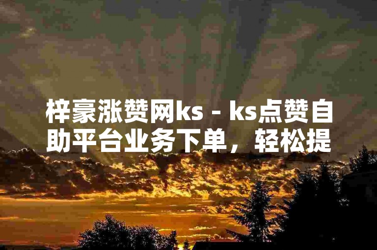 梓豪涨赞网ks - ks点赞自助平台业务下单，轻松提升你的社交媒体影响力。