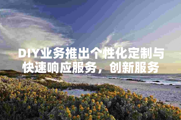 DIY业务推出个性化定制与快速响应服务，创新服务模式成为行业新标杆。