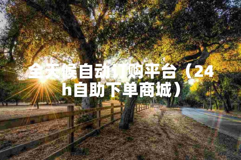 全天候自动订购平台（24h自助下单商城）