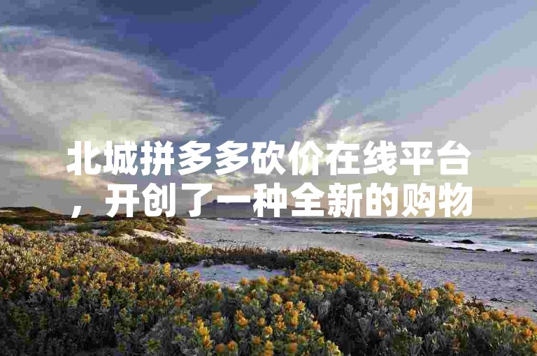 北城拼多多砍价在线平台，开创了一种全新的购物方式。
