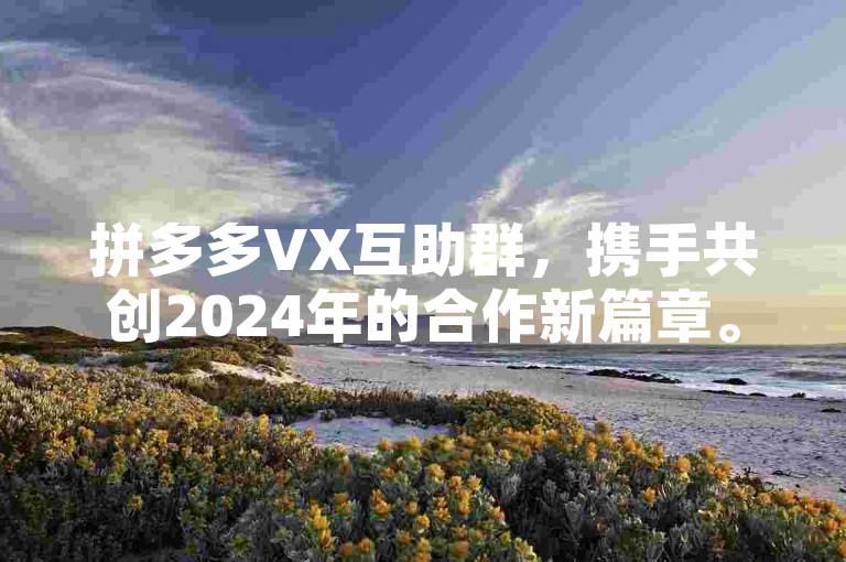 拼多多VX互助群，携手共创2024年的合作新篇章。
