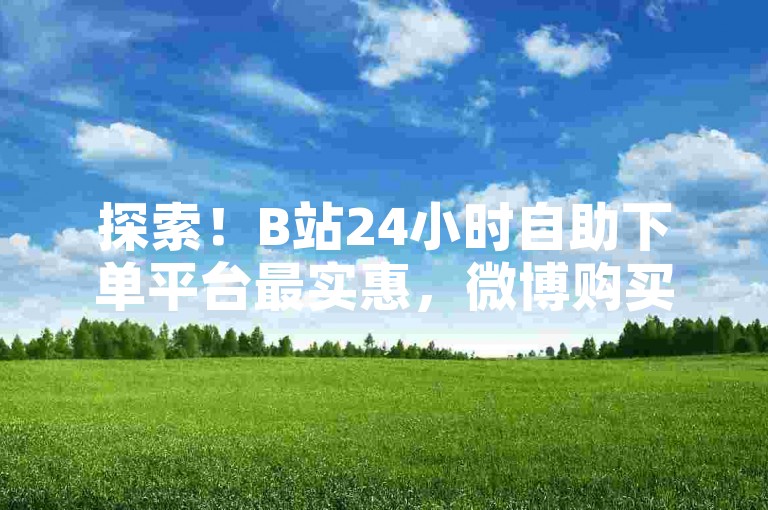 探索！B站24小时自助下单平台最实惠，微博购买粉丝0.01元起熊猫乐园超值套餐最新促销信息 - B站点赞服务 - wb流量提升网站