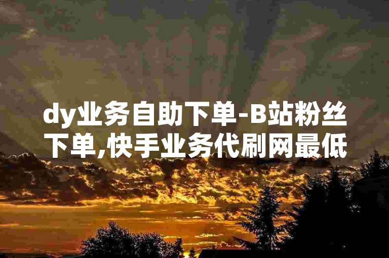 dy业务自助下单-B站粉丝下单,快手业务代刷网最低价