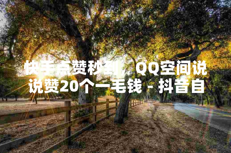 快手点赞秒到，QQ空间说说赞20个一毛钱 - 抖音自助服务，KS自定义评论网站。
