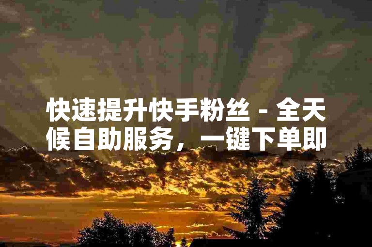 快速提升快手粉丝 - 全天候自助服务，一键下单即刻体验。