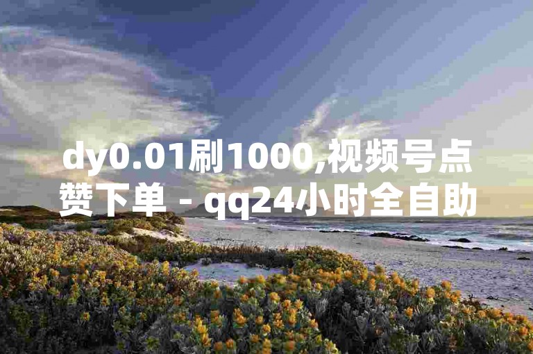 dy0.01刷1000,视频号点赞下单 - qq24小时全自助下单网站 - ks账号购买超便宜