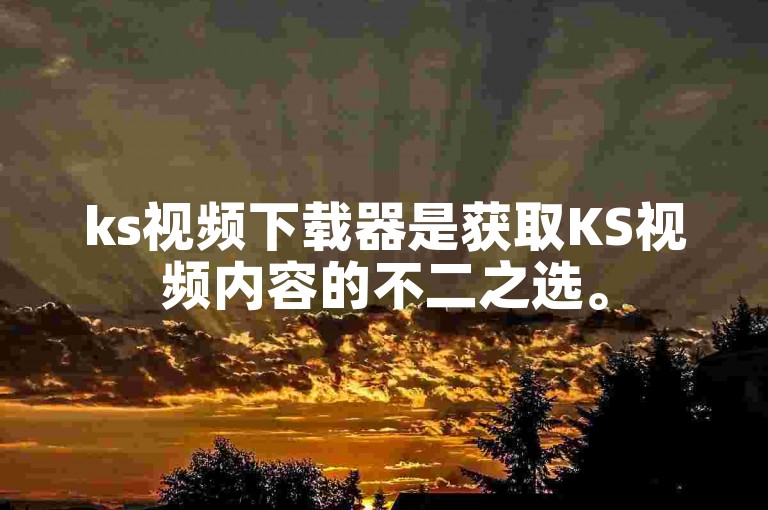 ks视频下载器是获取KS视频内容的不二之选。