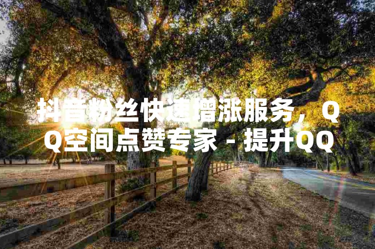 抖音粉丝快速增涨服务，QQ空间点赞专家 - 提升QQ人气 - 十元获得1000抖音关注者。