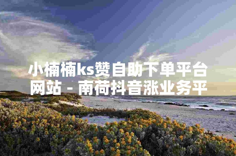 小楠楠ks赞自助下单平台网站 - 南荷抖音涨业务平台是一个提供快速增加点赞和粉丝服务的网络平台。